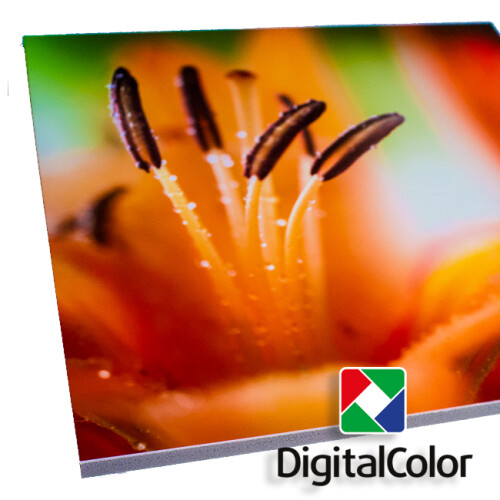 Detail FineArt fotografie na KAPA desce 5 mm, Harman Matt Cotton Textured (A2)